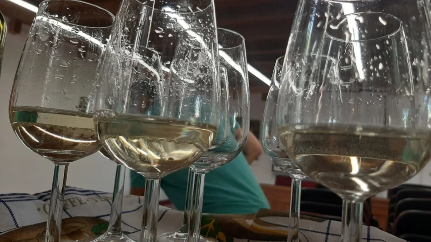 rakija, vino, ča&scaron;a