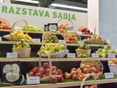 62. Sajam Agra u Gornjoj Radgoni