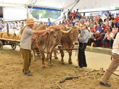 62. Sajam Agra u Gornjoj Radgoni