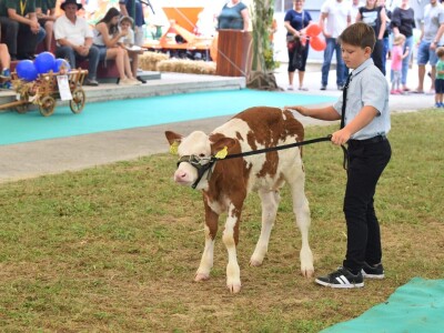 62. Sajam Agra u Gornjoj Radgoni