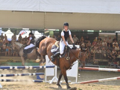 62. Sajam Agra u Gornjoj Radgoni