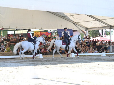 63. Sajam Agra u Gornjoj Radgoni