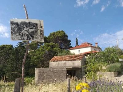 OPG Šime Grce