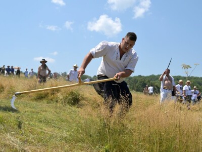 Kosidba na Rajcu 2024