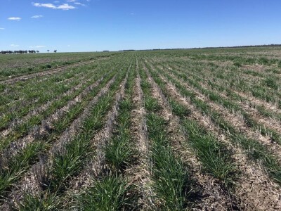 Na 12 tisuća hektara 8 radnika