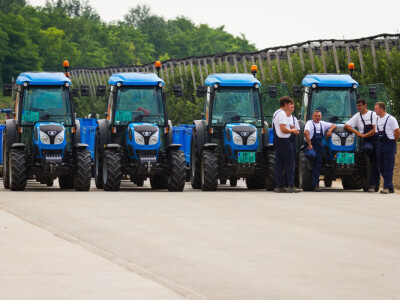 BASF Srbija Dan jabuke u Čelarevu