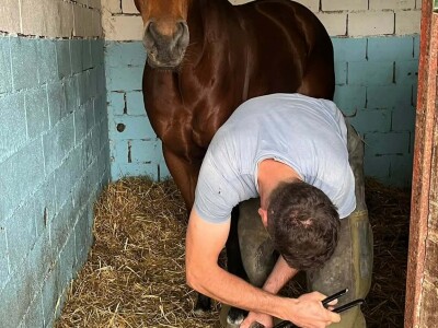 Mladi Haris Ganić iz Visokog potkuje do 60 konja mjesečno