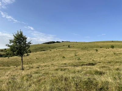 Tešija … ne objaviti još
