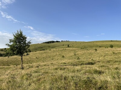 Tešija … ne objaviti još