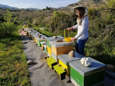 OPG Roguljić u Kučinama proizvodi med i pčelinje proizvode, soparnik, maslinovo ulje i suhe smokve te uzgaja buše