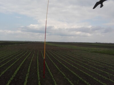 SCARYBIRD: Da više u proizvodnji nemate problema s pticama