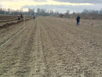 OPG Cetinić Frankos OPG Cetinić Frankos