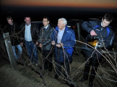 Vincelovo kod Enjingija!