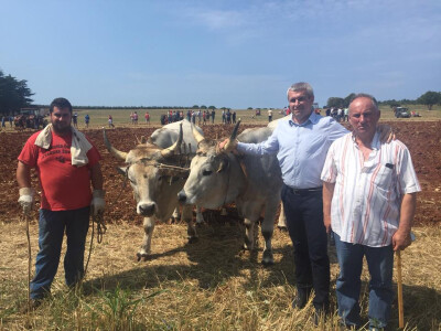 5. Županijsko natjecanje u oranju Istarske županije i 2. Županijsko natjecanje u oranju volovskim zapregama