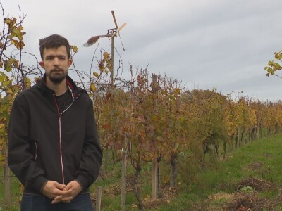 7. epizoda Talenti EU regija: Kako je Dorjan umesto prava odabrao seoski turizam 7. epizoda Talenti EU regija: Kako je Dorjan umesto prava odabrao seoski turizam