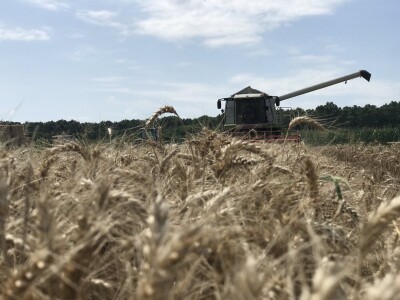 OPG Pavao Švub OPG Pavao Švub