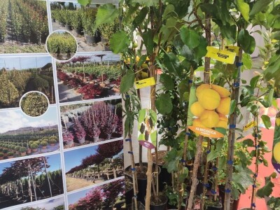 72. Flormart sajam u Padovi