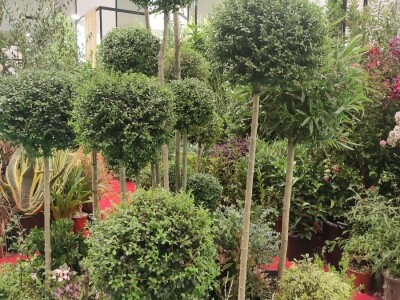 72. Flormart sajam u Padovi