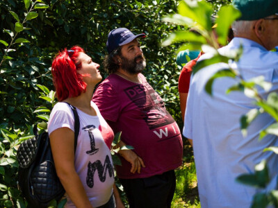 BASF Srbija Dan jabuke u Čelarevu