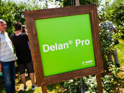 BASF Srbija Dan jabuke u Čelarevu