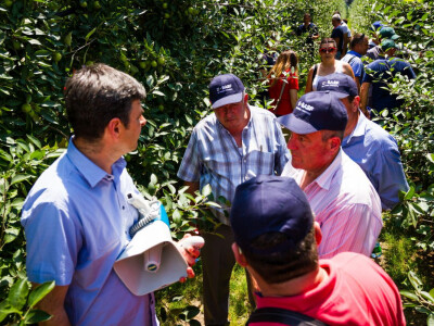 BASF Srbija Dan jabuke u Čelarevu