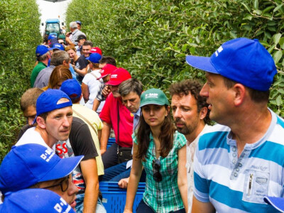 BASF Srbija Dan jabuke u Čelarevu