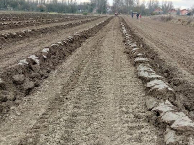 OPG Cetinić Frankos OPG Cetinić Frankos