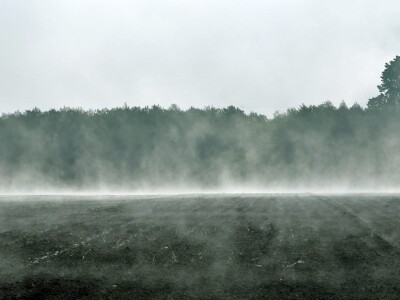 Proljeće u požeškom kraju