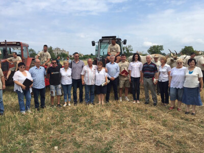 5. Županijsko natjecanje u oranju Istarske županije i 2. Županijsko natjecanje u oranju volovskim zapregama