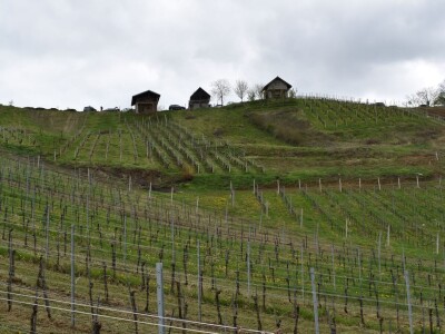 Prezentacija strojeva i radionica "Sigurna primjena pesticida"