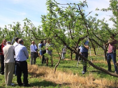 Savjetodavci iz inozemstva