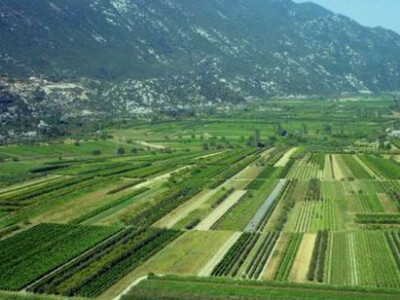 Vrgoračko-neretvansko polje (obilje svježeg kvalitetnog povrća, voća) Vrgoračko-neretvansko polje (obilje svježeg kvalitetnog povrća, voća)