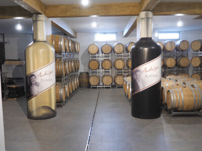 Andrija nastavio utabanim stazama predaka, košarkaš se vratio selu