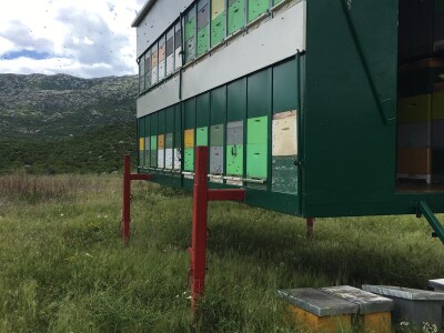 OPG Roguljić u Kučinama proizvodi med i pčelinje proizvode, soparnik, maslinovo ulje i suhe smokve te uzgaja buše
