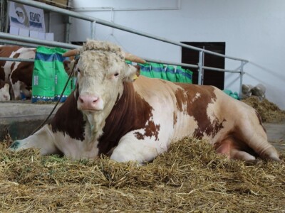 89. međunarodni poljoprivredni sajam u Novom Sadu