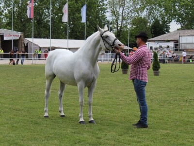 89. međunarodni poljoprivredni sajam u Novom Sadu