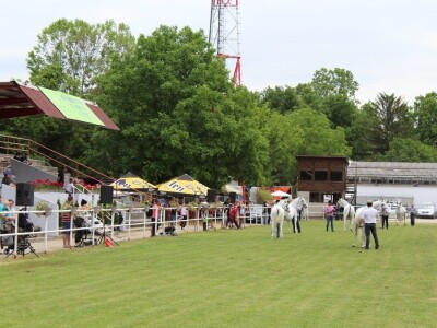 89. međunarodni poljoprivredni sajam u Novom Sadu