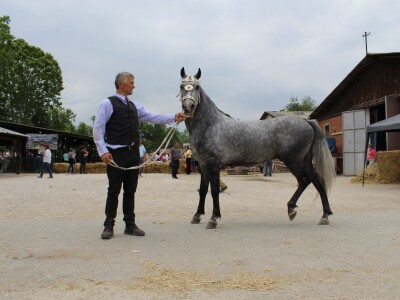 89. međunarodni poljoprivredni sajam u Novom Sadu