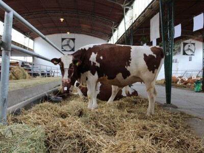 89. međunarodni poljoprivredni sajam u Novom Sadu