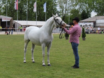 89. međunarodni poljoprivredni sajam u Novom Sadu