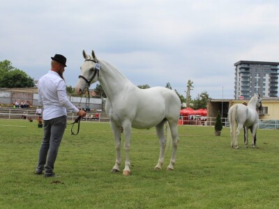 89. međunarodni poljoprivredni sajam u Novom Sadu