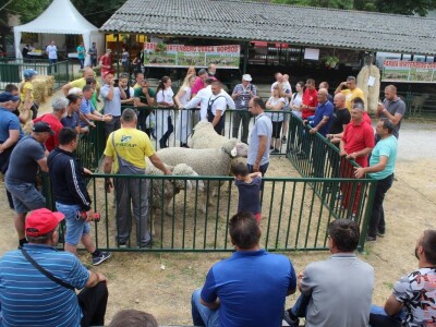 89. međunarodni poljoprivredni sajam u Novom Sadu