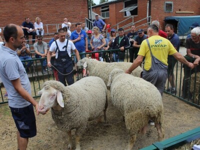 89. međunarodni poljoprivredni sajam u Novom Sadu