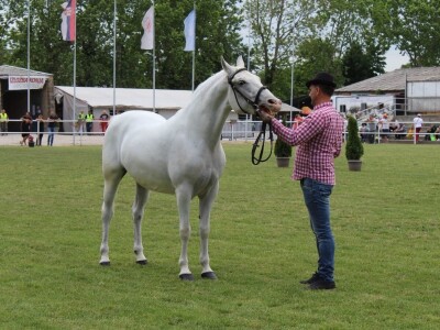 89. međunarodni poljoprivredni sajam u Novom Sadu