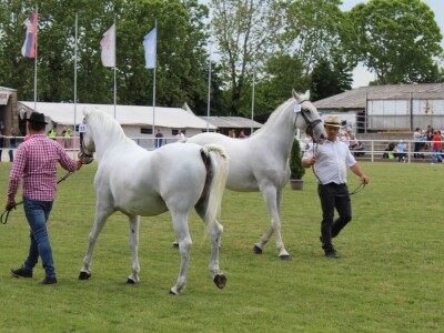 89. međunarodni poljoprivredni sajam u Novom Sadu