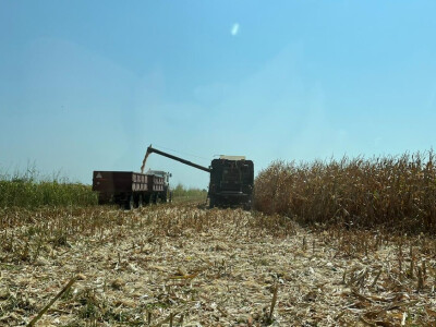 OPG Koprivanac Šljivoševci