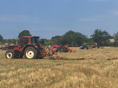 5. Županijsko natjecanje u oranju Istarske županije i 2. Županijsko natjecanje u oranju volovskim zapregama