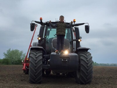 9. travnja, sedmi dan sjetva suncokreta u Županji