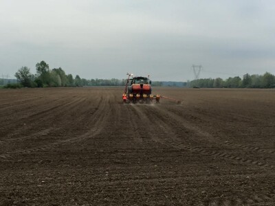 9. travnja, sedmi dan