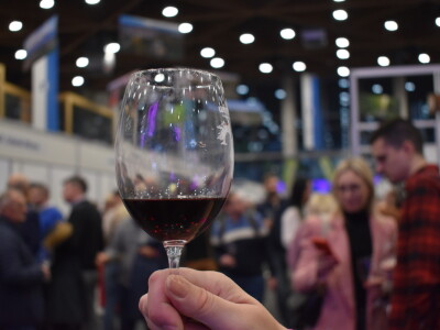 9. WineOs - Osijek Wine fest